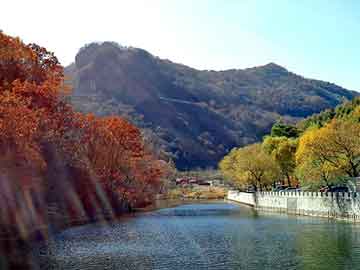 新澳天天开奖资料大全旅游团，雅帝发热塑身贴